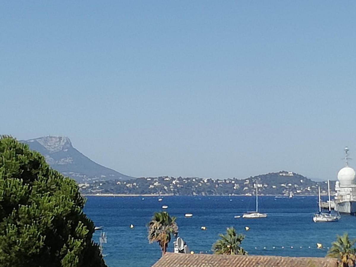 Petit Paradis - St Mandrier Village Saint-Mandrier-sur-Mer Kültér fotó