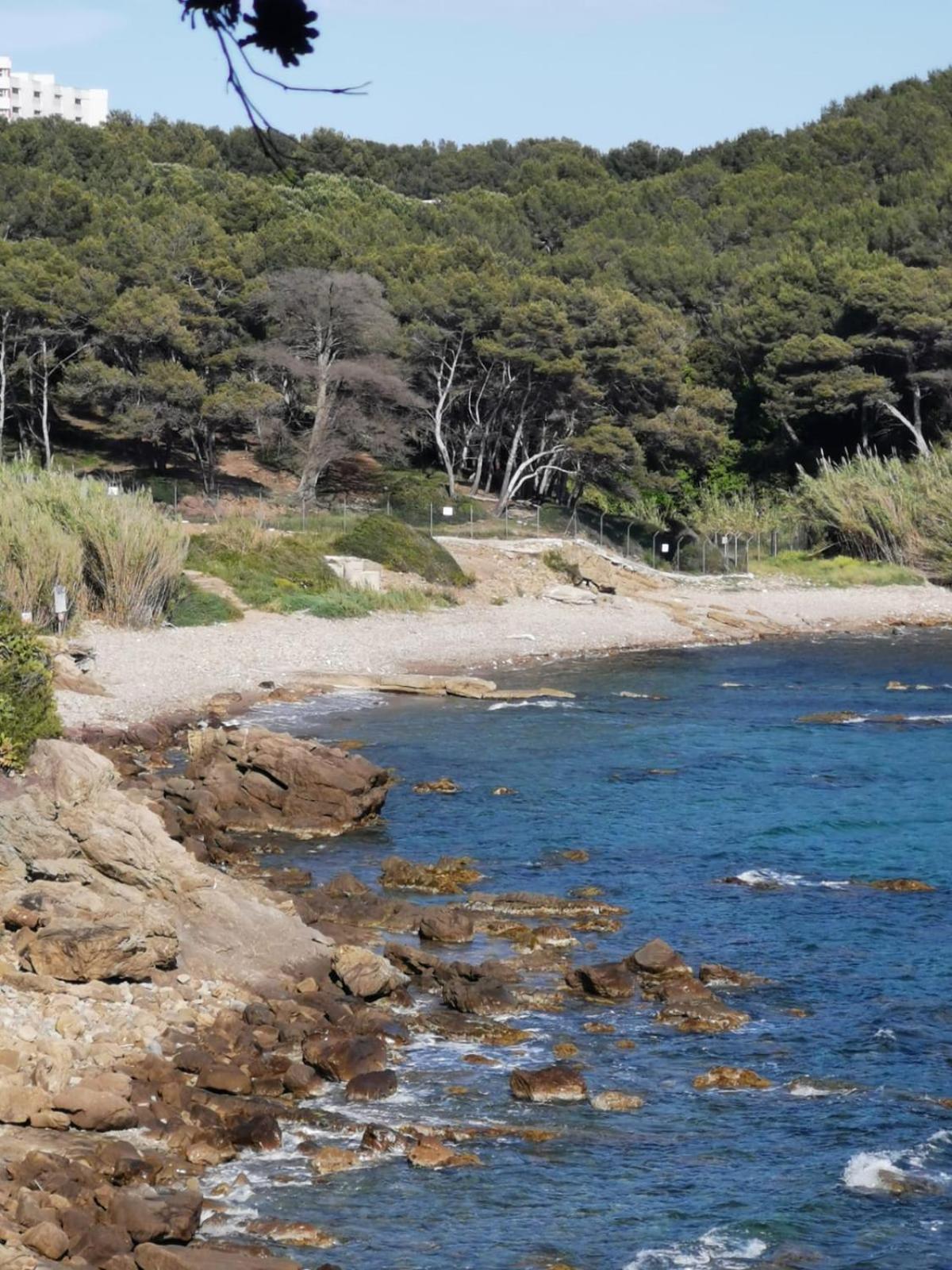 Petit Paradis - St Mandrier Village Saint-Mandrier-sur-Mer Kültér fotó