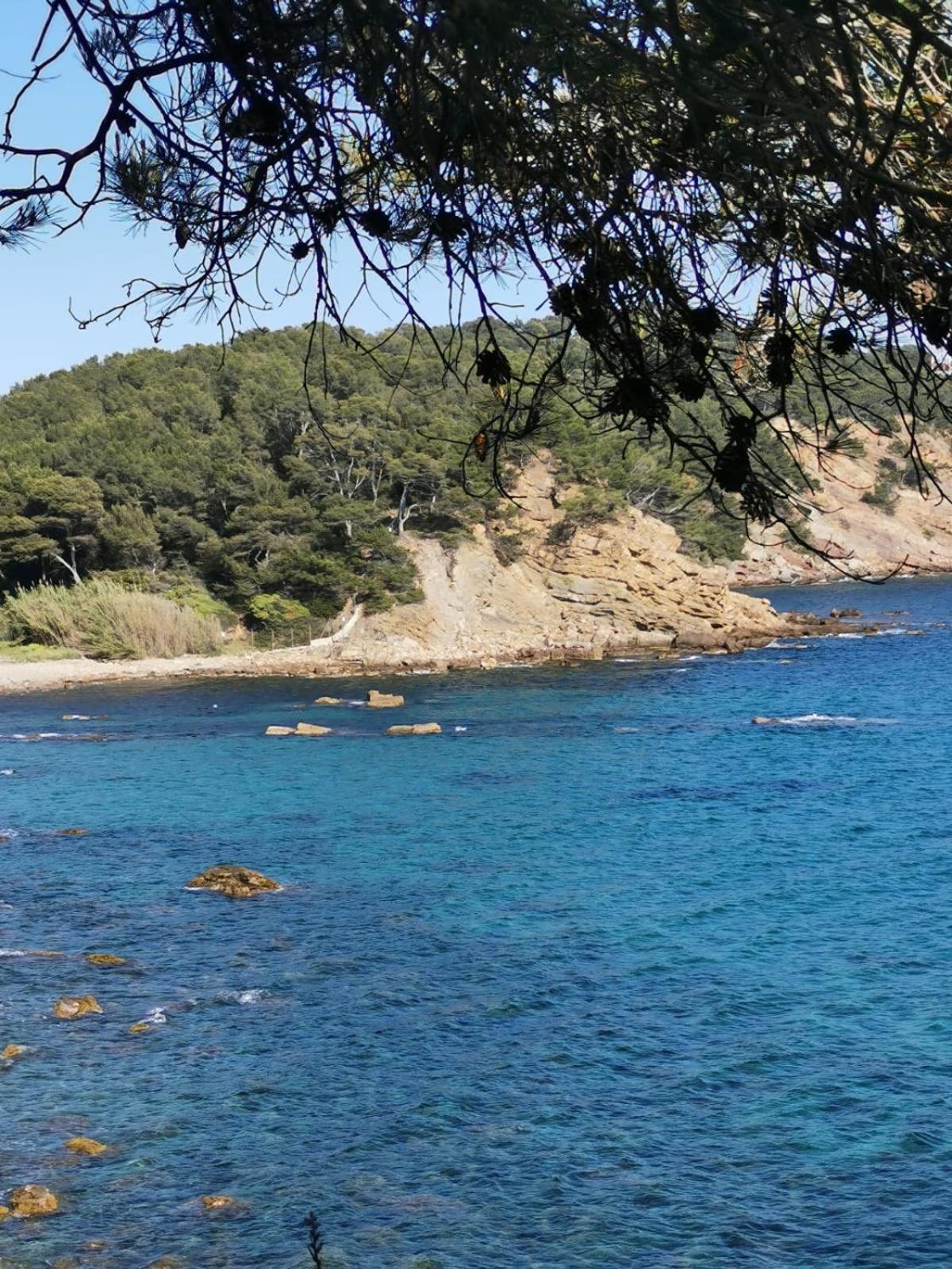 Petit Paradis - St Mandrier Village Saint-Mandrier-sur-Mer Kültér fotó