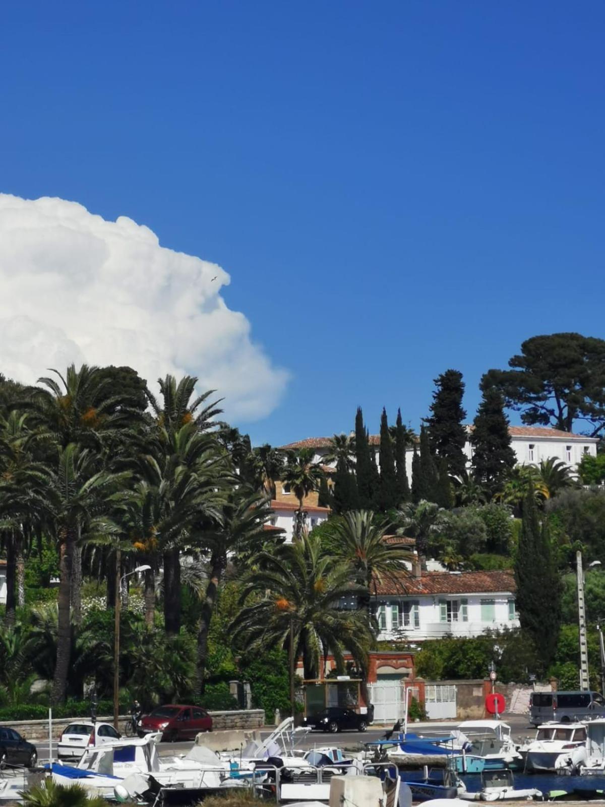 Petit Paradis - St Mandrier Village Saint-Mandrier-sur-Mer Kültér fotó