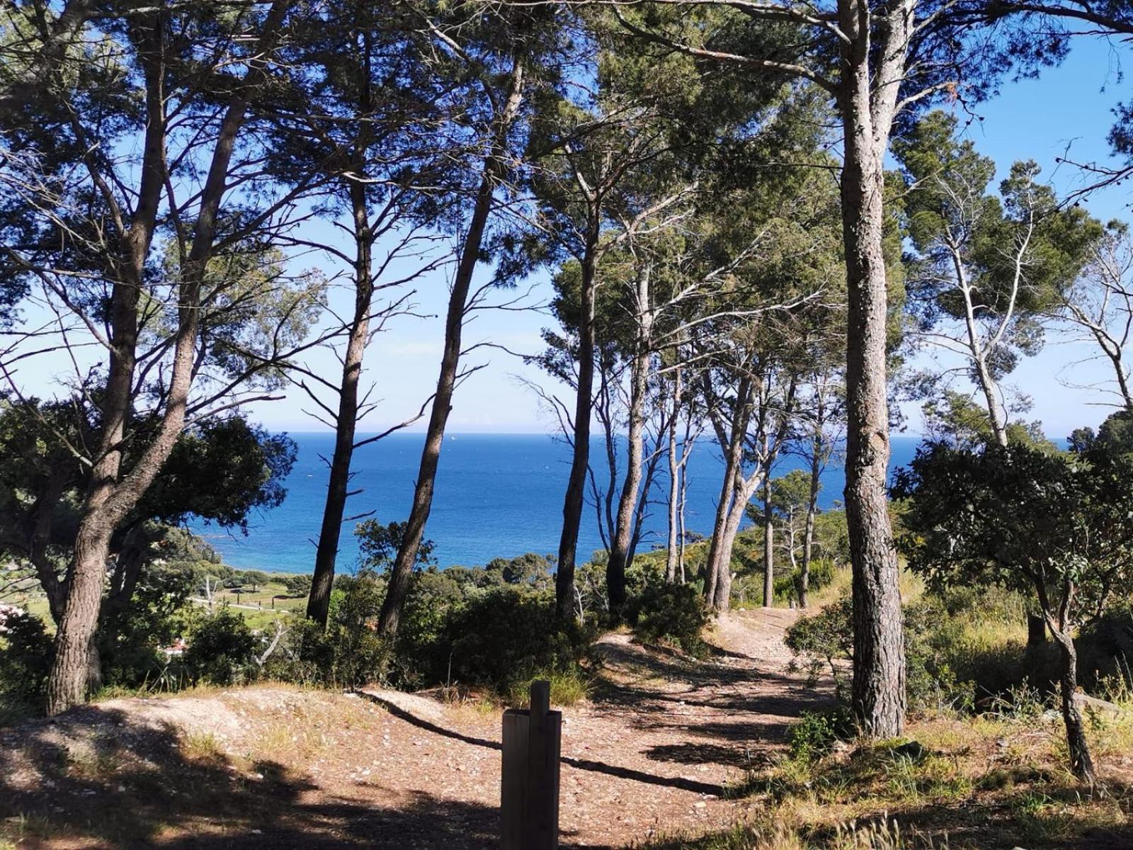 Petit Paradis - St Mandrier Village Saint-Mandrier-sur-Mer Kültér fotó