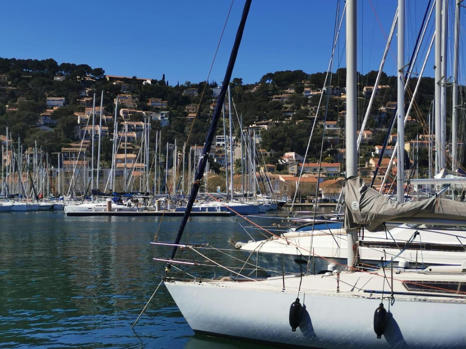 Petit Paradis - St Mandrier Village Saint-Mandrier-sur-Mer Kültér fotó